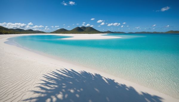 Pourquoi Whitehaven Beach éblouit les visiteurs